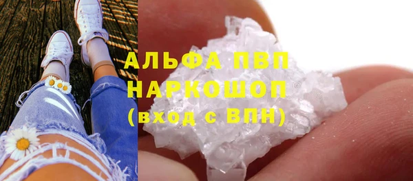 прущие грибы Богданович