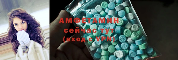 прущие грибы Богданович