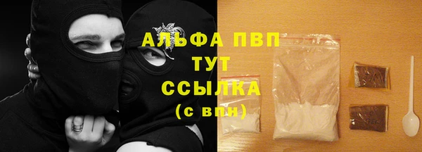 прущие грибы Богданович