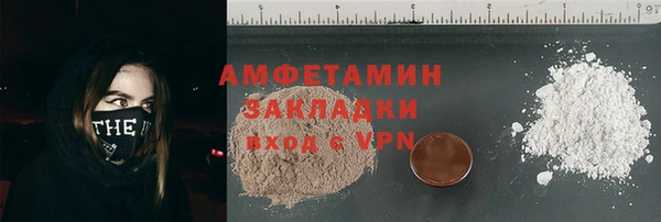 прущие грибы Богданович