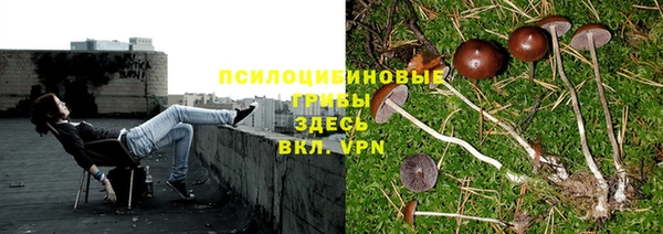 ALPHA PVP Богородицк