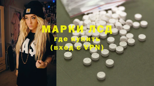 прущие грибы Богданович