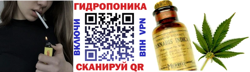 купить наркоту Ленинградская Бошки марихуана SATIVA & INDICA